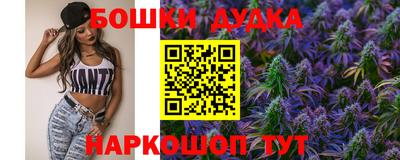 гашик Будённовск