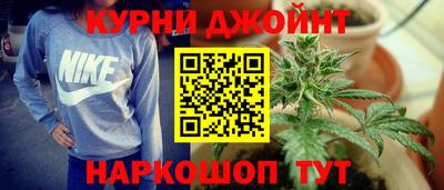 гашик Будённовск