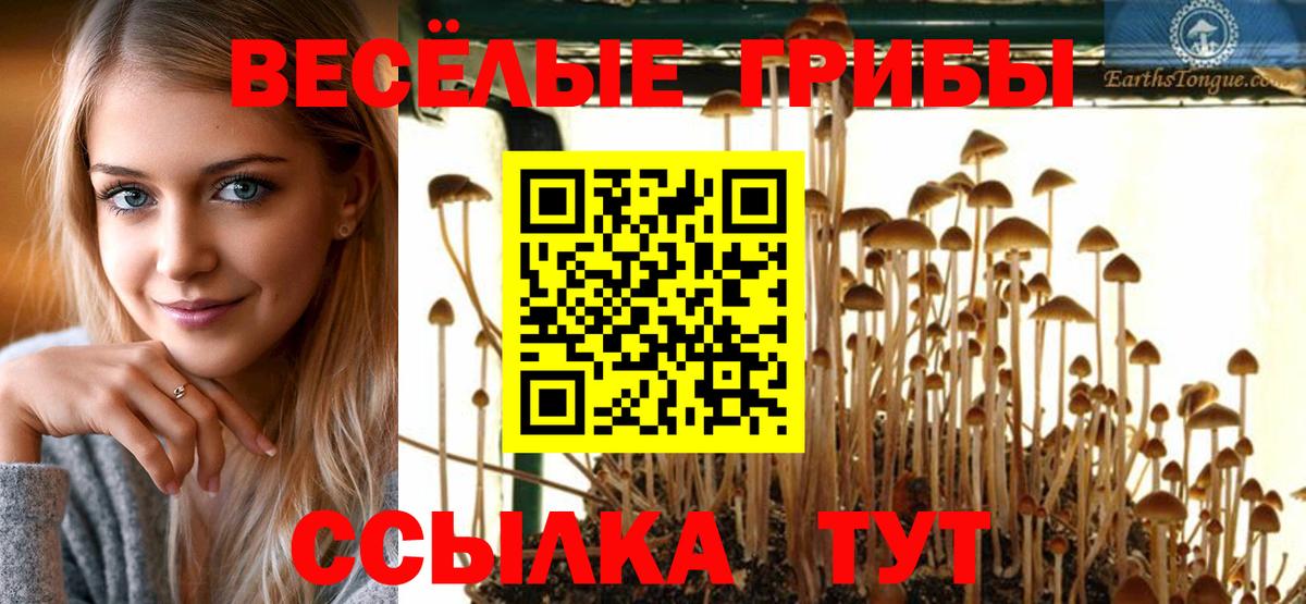 Галлюциногенные грибы прущие грибы Нижневартовск