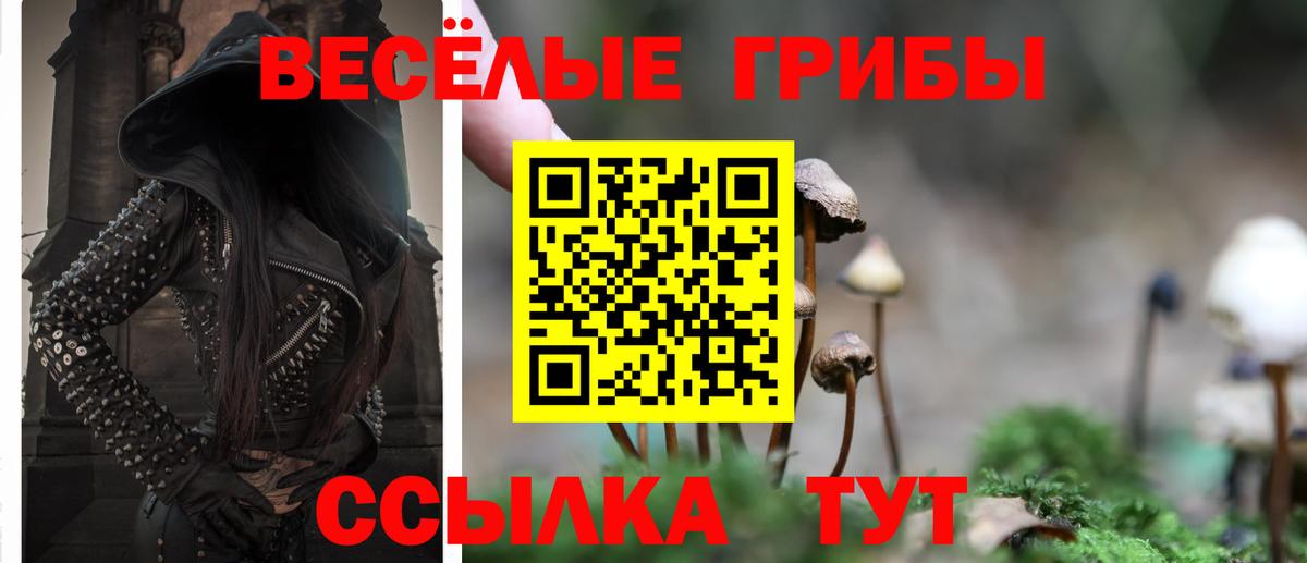 Псилоцибиновые грибы GOLDEN TEACHER  продажа наркотиков  Нижневартовск  Псилоцибиновые грибы прущие грибы  Вход с VPN 
